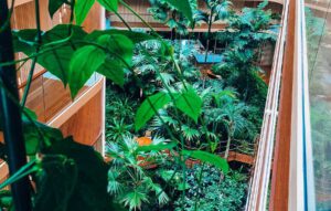 Look over the tropical indoor garden in Hotel Jakarta Amsterdam